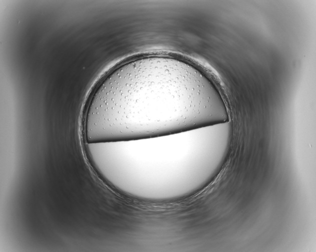 X0000098171279200804241002