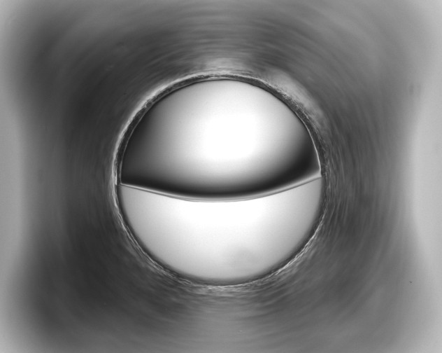 X0000098171280200804241002