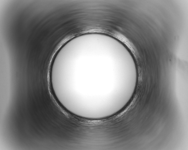 X0000098171282200804241001