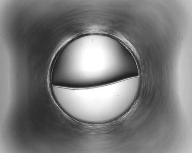X0000098171285200804241001