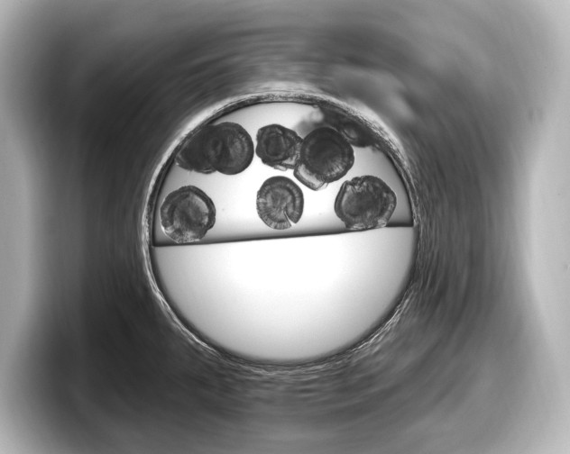 X0000098171287200804241001