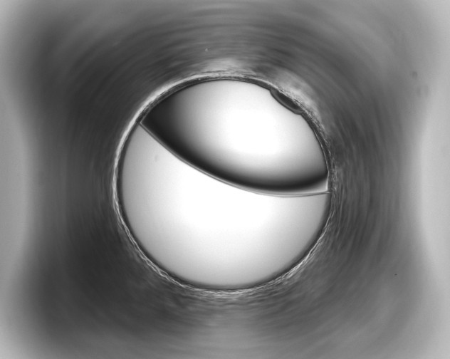 X0000098171288200804241001