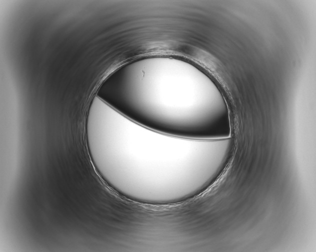X0000098171289200804241001