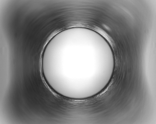 X0000098171290200804241001