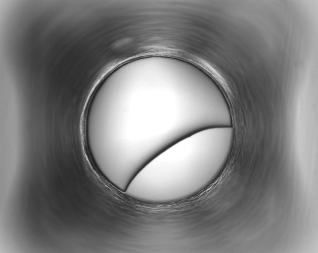 X0000098171291200804241001