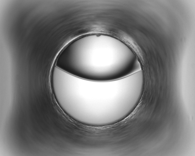 X0000098171292200804241001