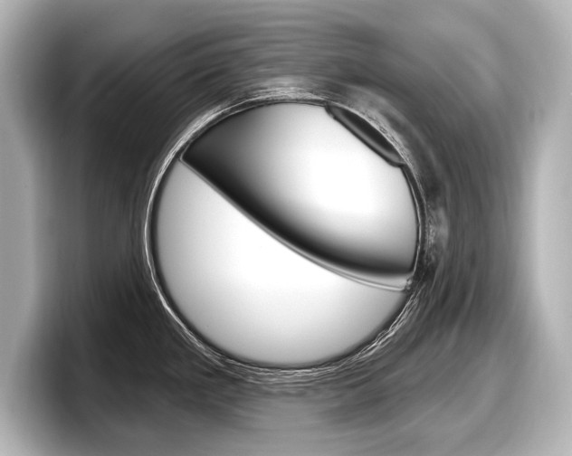 X0000098171293200804241001