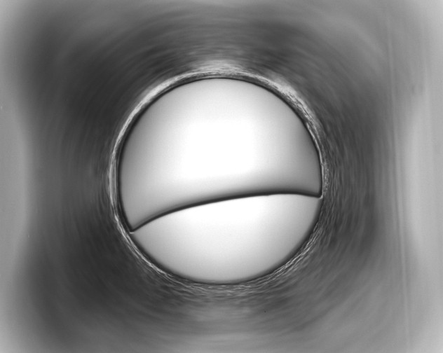 X0000098171295200804241001