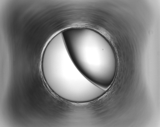 X0000098171296200804241001