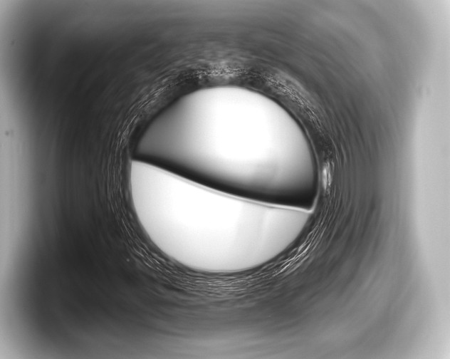 X0000098171299200804241001