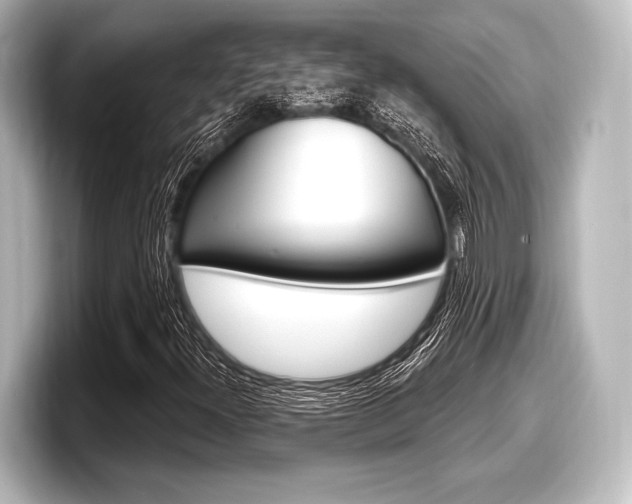 X0000098171300200804241001