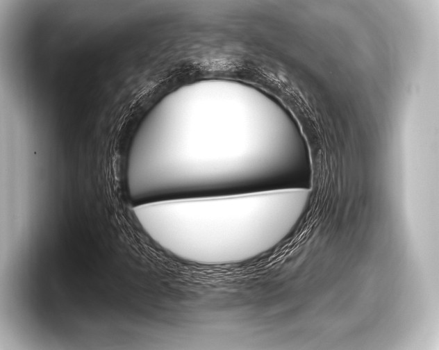 X0000098171301200804241001