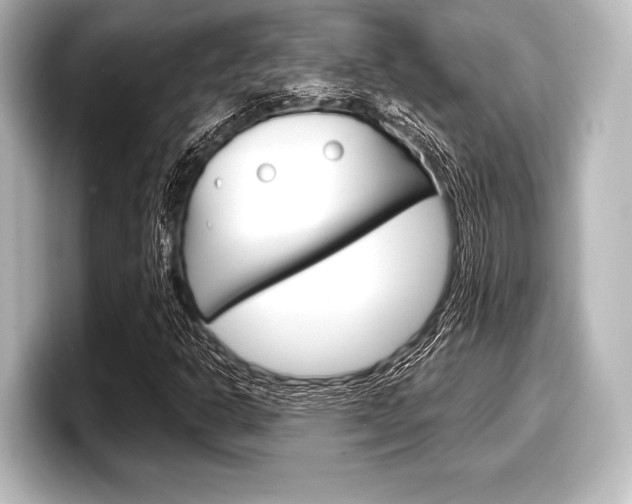 X0000098171302200804241001