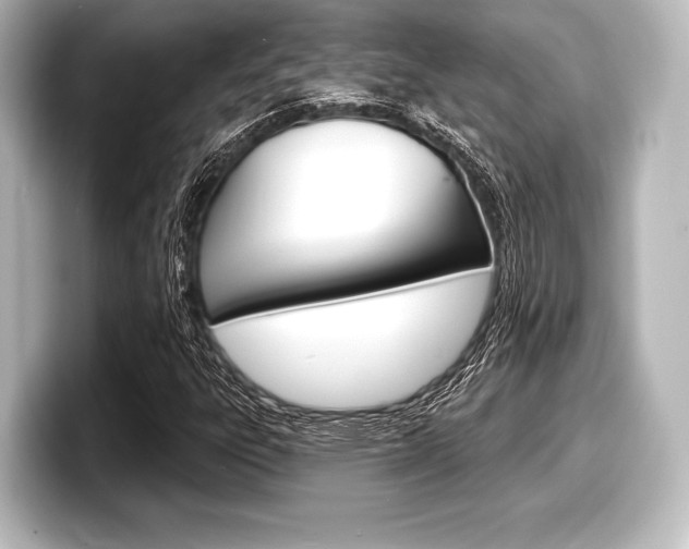 X0000098171303200804241001