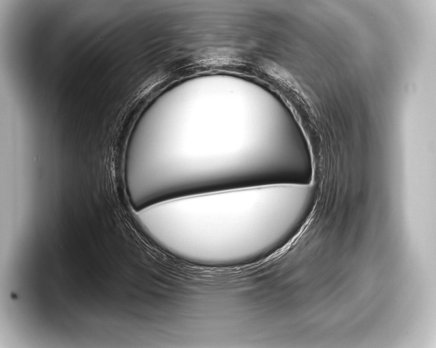 X0000098171305200804241001