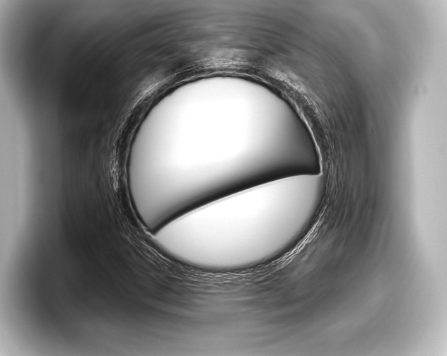 X0000098171306200804241001