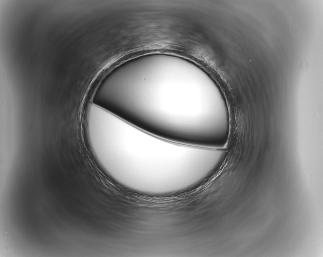X0000098171308200804241001
