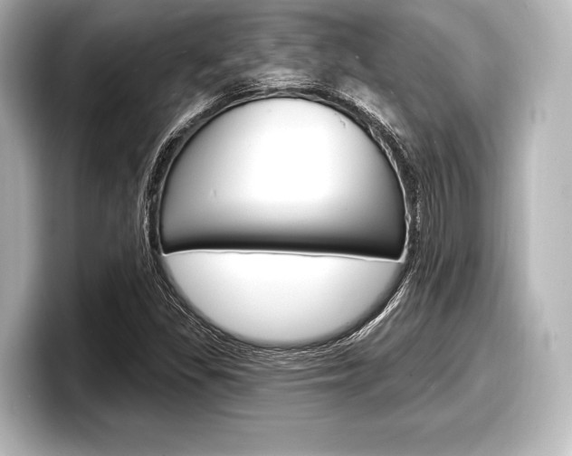 X0000098171309200804241001