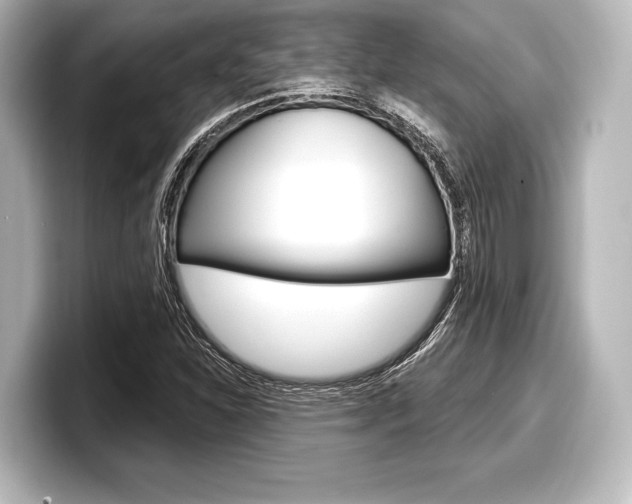 X0000098171310200804241001