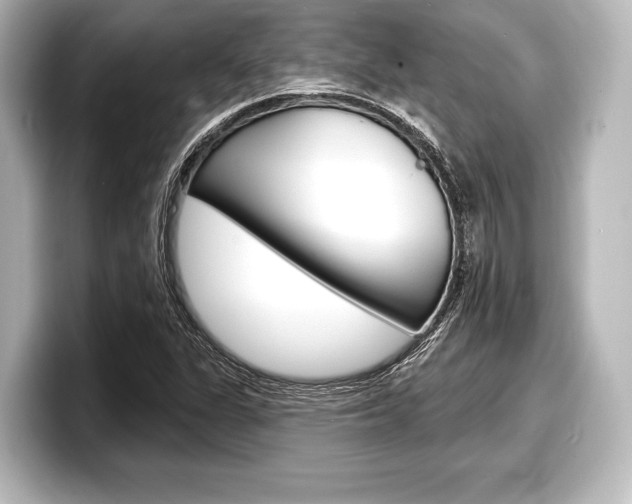 X0000098171311200804241001