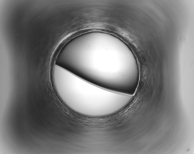 X0000098171312200804241001