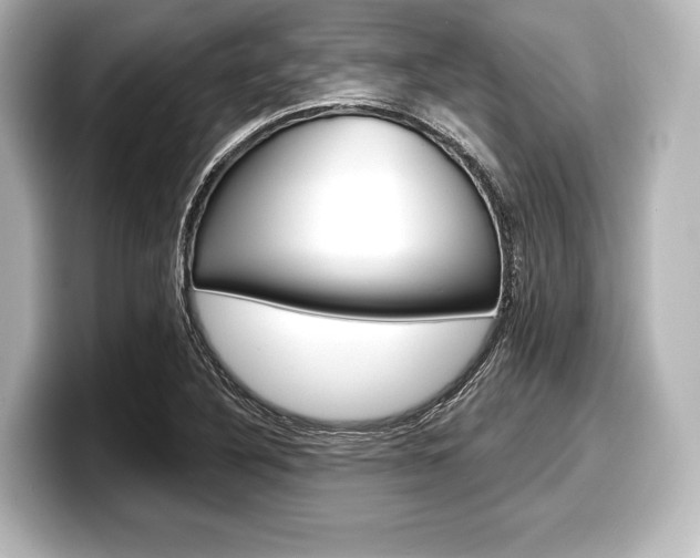 X0000098171316200804241001