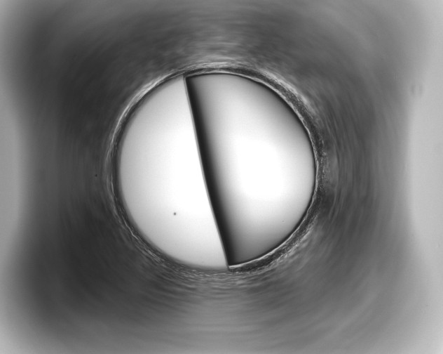X0000098171317200804241001