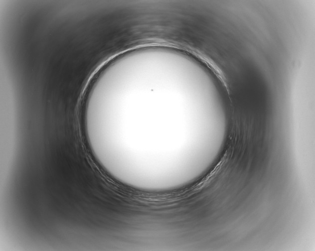X0000098171318200804241001