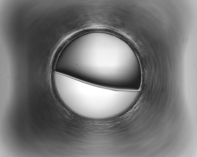 X0000098171319200804241001