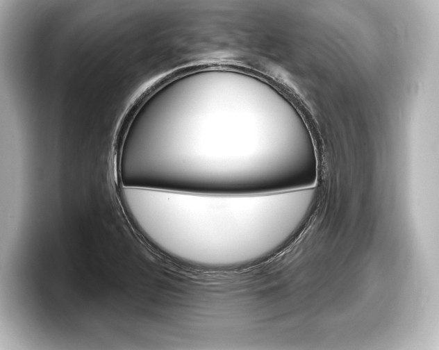 X0000098171320200804241001