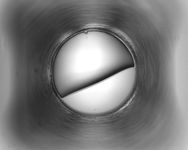 X0000098171321200804241001