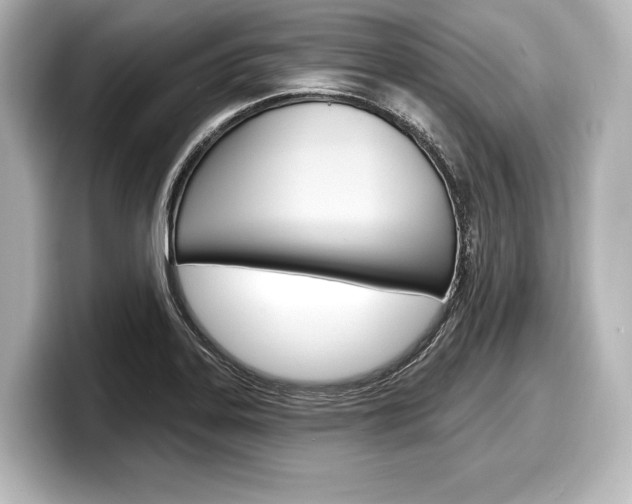 X0000098171323200804241001
