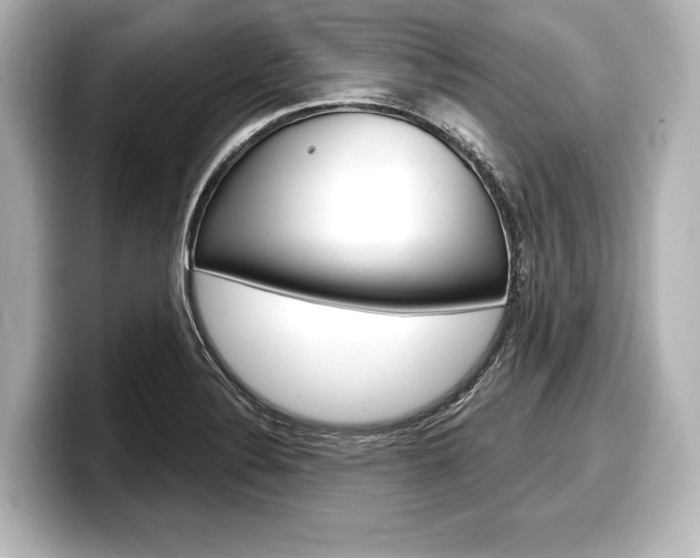 X0000098171324200804241001