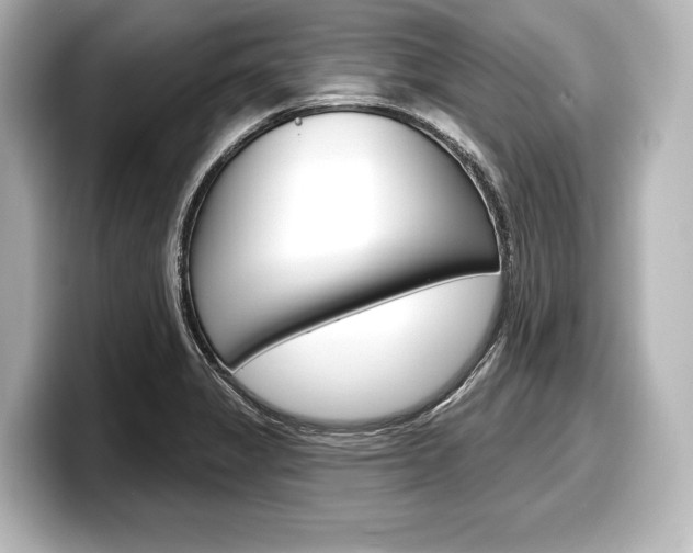X0000098171325200804241001