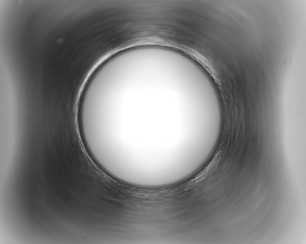 X0000098171326200804241001