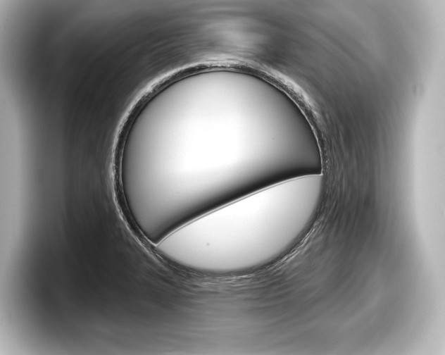 X0000098171327200804241001