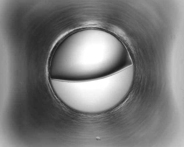 X0000098171328200804241001