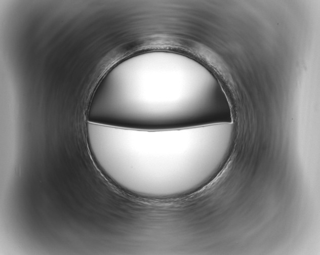 X0000098171329200804241001