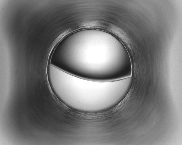 X0000098171330200804241001