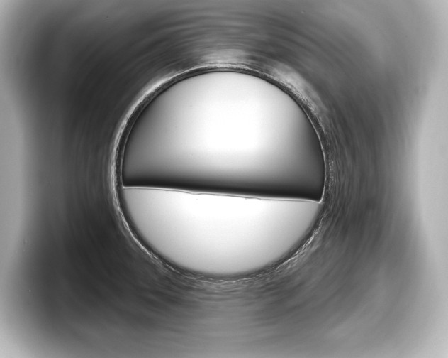 X0000098171331200804241001
