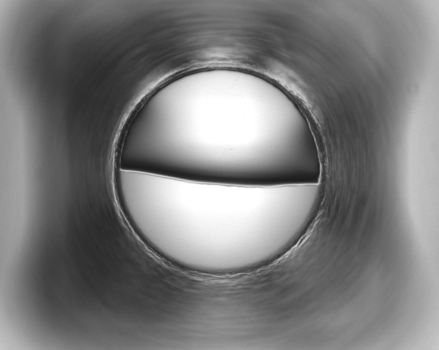 X0000098171333200804241001