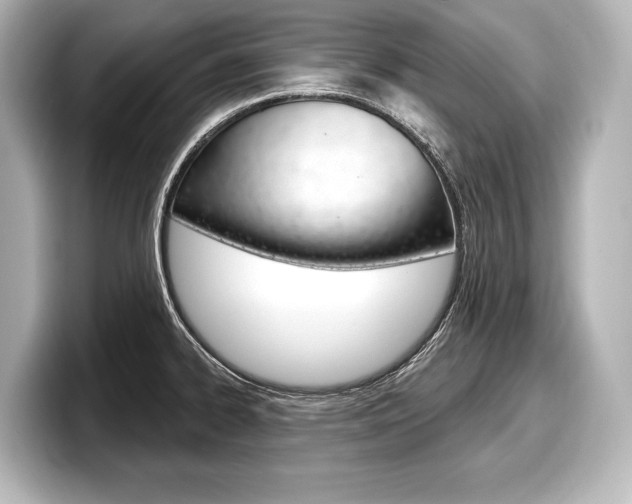 X0000098171334200804241001