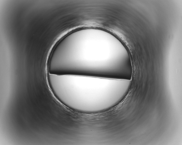 X0000098171335200804241001