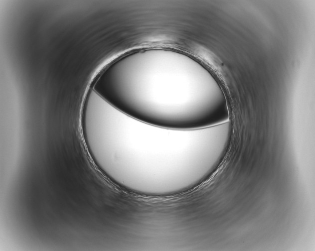 X0000098171336200804241001