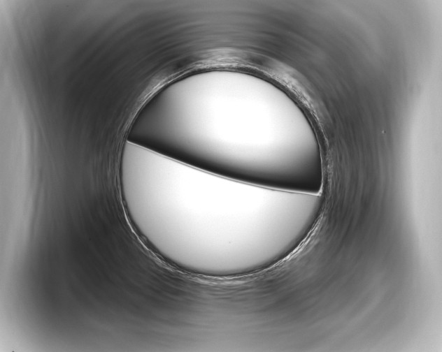X0000098171337200804241001