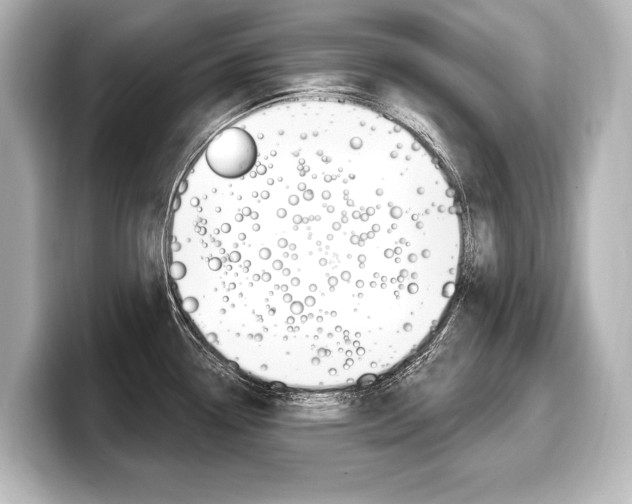 X0000098171338200804241001