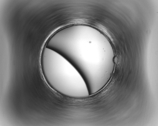 X0000098171339200804241001