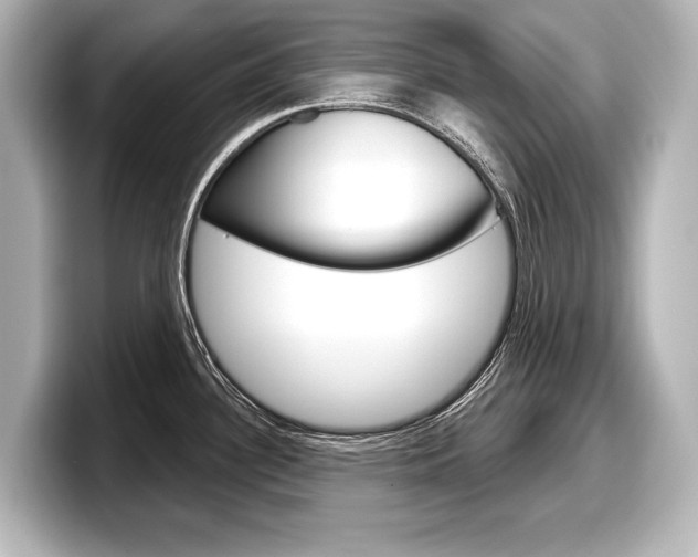 X0000098171340200804241001