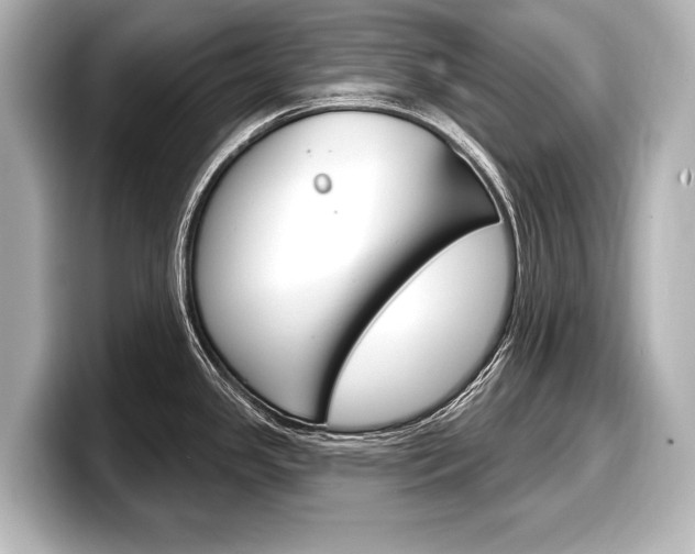 X0000098171341200804241001