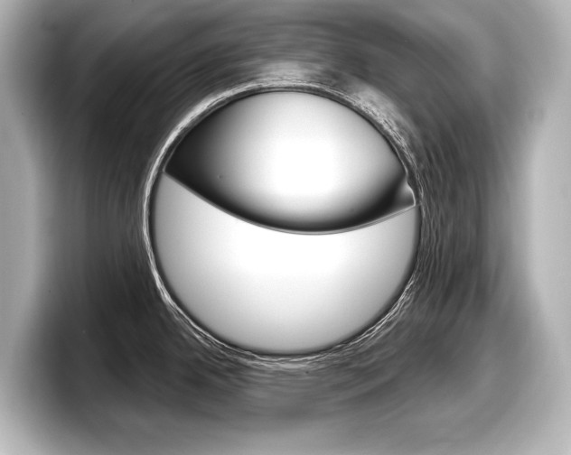 X0000098171342200804241001